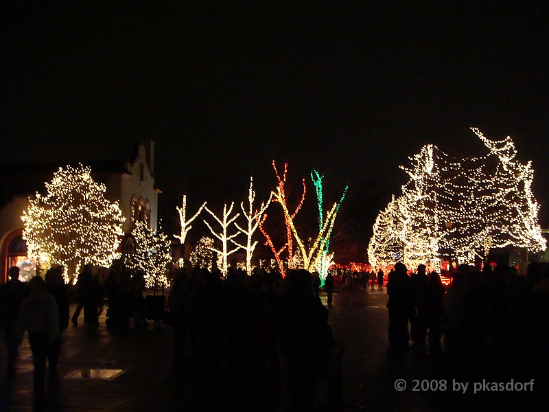 110 Toledo Zoo Light Show [2008 Dec 27].JPG - Scenes from the Toledo Zoo Light Show.